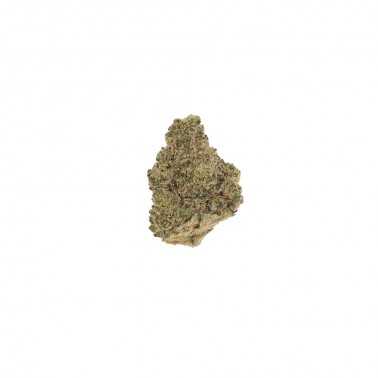 Fleurs de CBD LBV "Gelato" Indoor 1g LBV Produits
