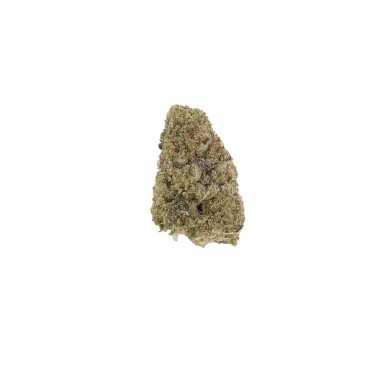 Fleurs de CBD LBV "Special Haze" Indoor 1g LBV Produits
