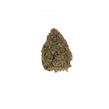 LBV "Ultra Pink Greenhouse CBD 1g LBV Products