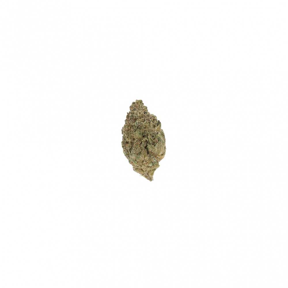 LBV CBG "ATSHITSHI" Indoor 1g LBV Products