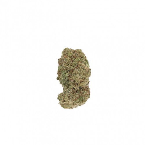 CBD Flowers LBV "Bubble Gum" Indoor 1g LBV Products