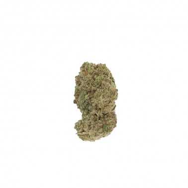 CBD-Blüten LBV "Bubble Gum" Indoor 1g LBV Produkte