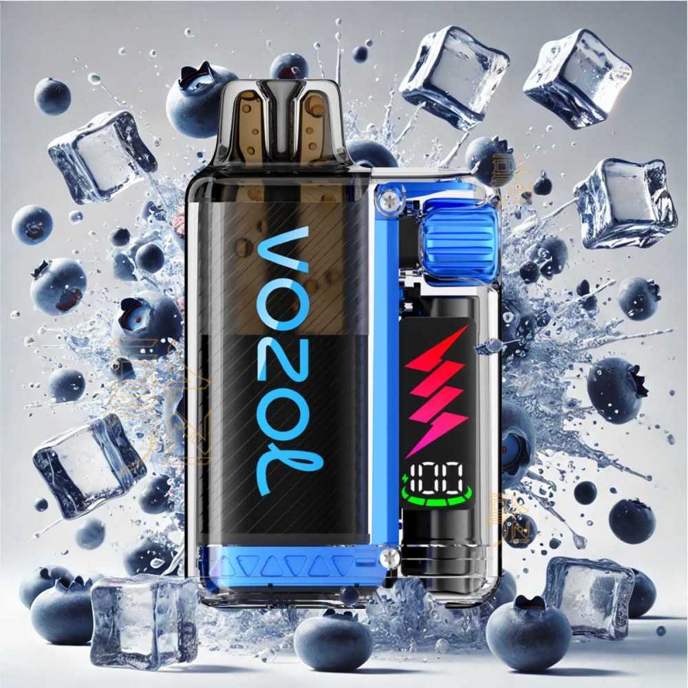 Vozol Vista Plug Starter Kit Blue Berry Ice 20mg vozol Produkte
