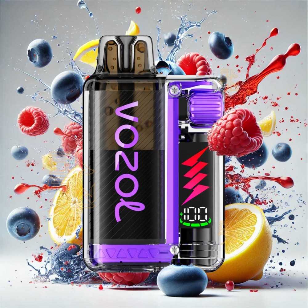 Vozol Vista Plug Starter Kit Blueberry Raspberry Lemon 20mg vozol Produkte
