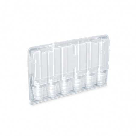 Transparente Transportbox für 6 Stecklinge LBV Einpflanzen und Keimen