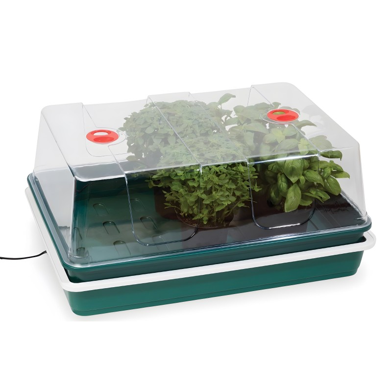 Propagatore Pro mini serre XL + Sensore di temperatura Garland Mini serra