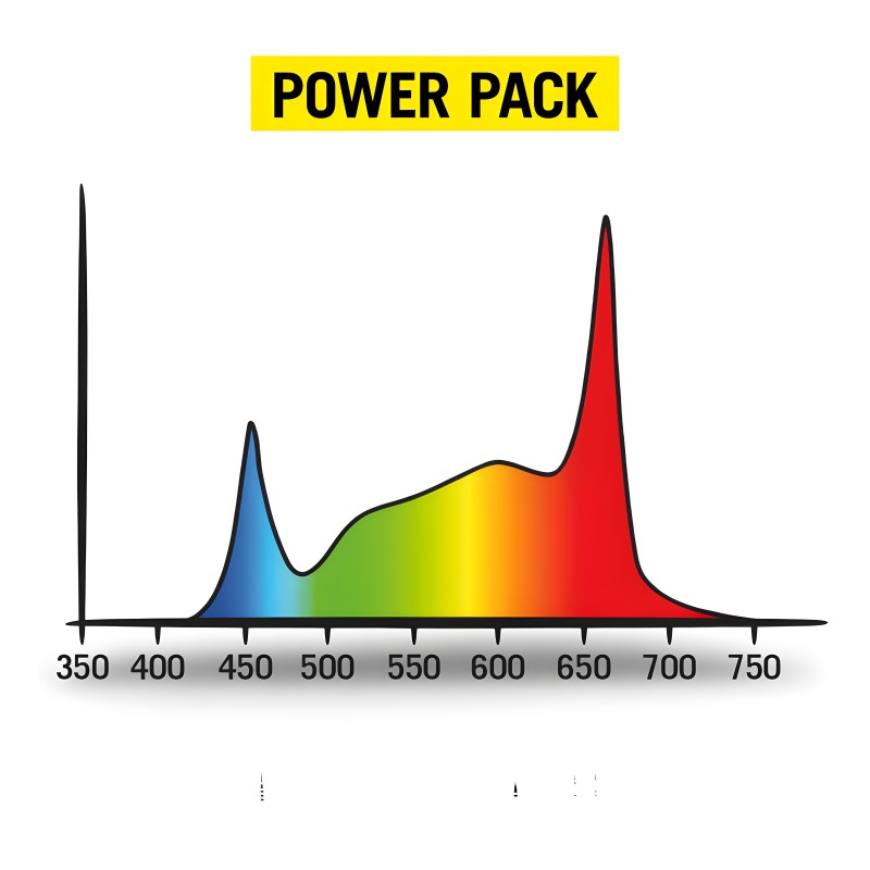 LED Power Pack 125W FS Secret Jardin  Produits