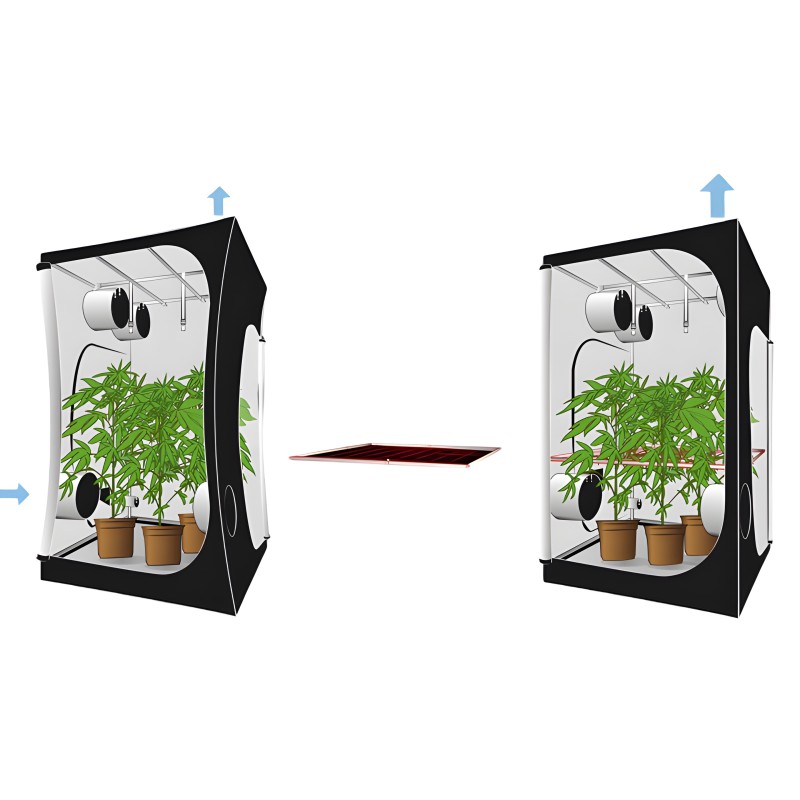 Booster spaziale grande SB-L Secret Jardin  Prodotti
