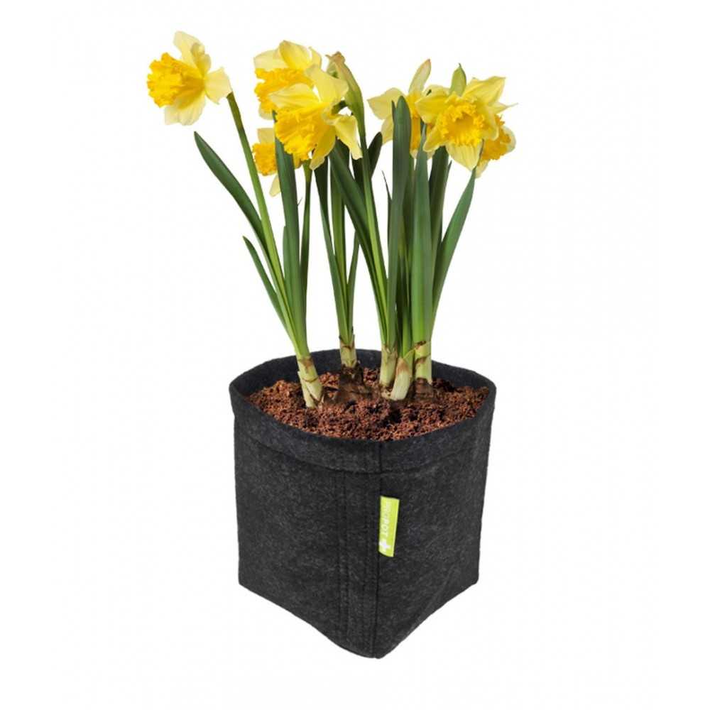 10X Pro Topf 11L Garden High Pro Garden High Pro