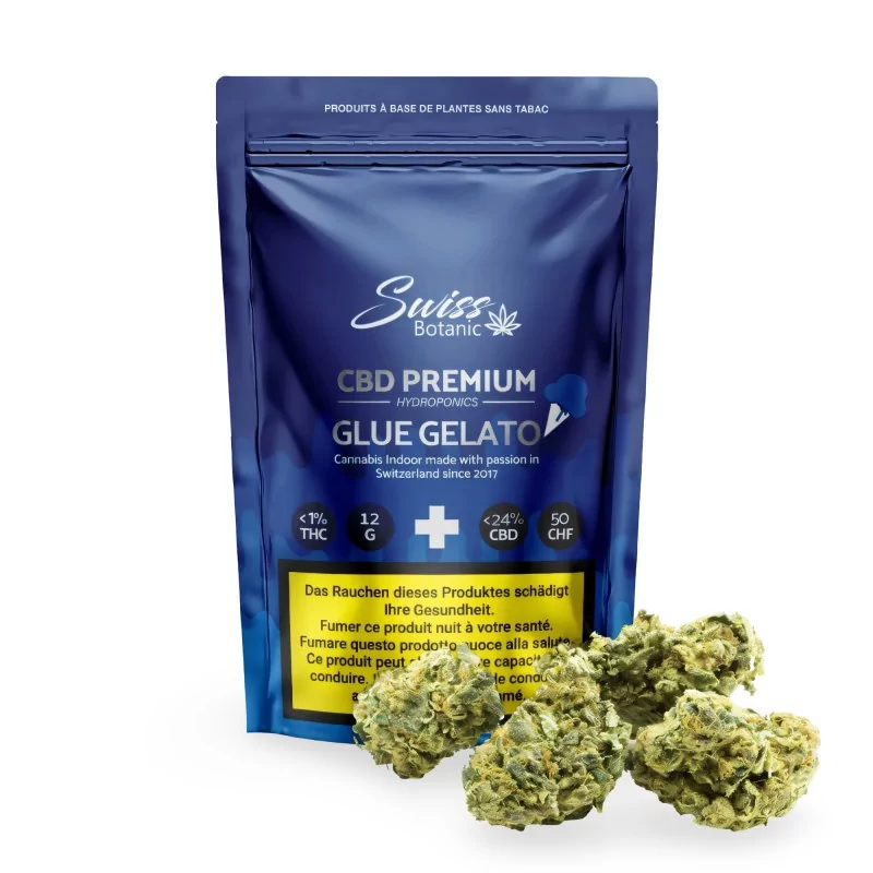 CBD-Blüten Swiss Botanic "Glue Gelato" Indoor 12g Swiss Botanic CBD-Blüten und Hash