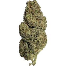 Fleurs de CBD Cannago Crystal Indoor 2.0 Cannago Produits