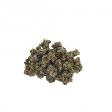 CBD-Blüten LBV NANO NUGGS "ALPEN BERRIE" 20g LBV Produkte