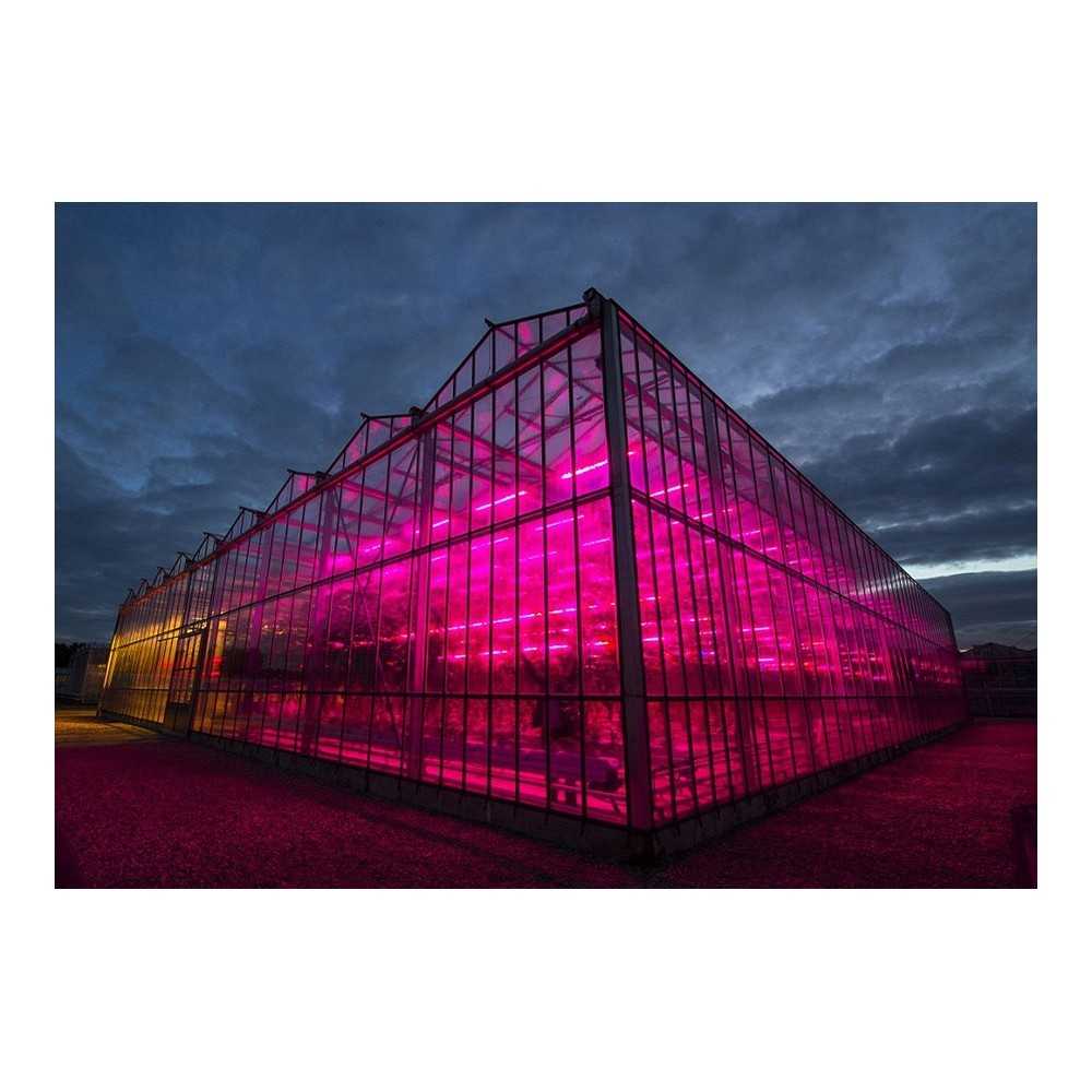 Lampada a LED FOG X-FLO 200W di F.O.G Futur Of Grow Lampada a led