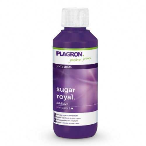 Plagron Sugar Royal 100ml Plagron Engrais GrowShop
