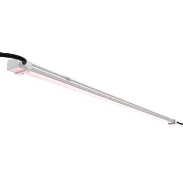 NEBBIA A LED X CLONE 30 Futur Of Grow  Luce