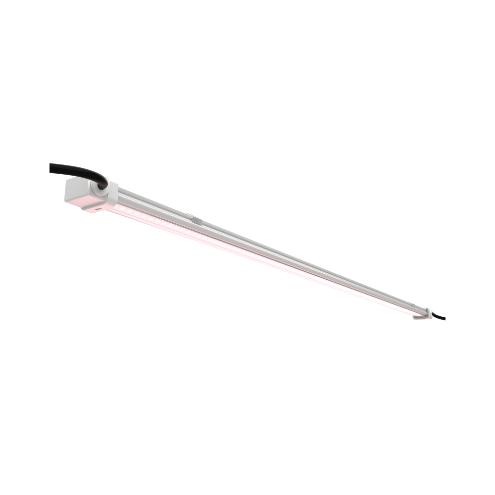 LED X CLONE 10 Futur Of Grow  Luce