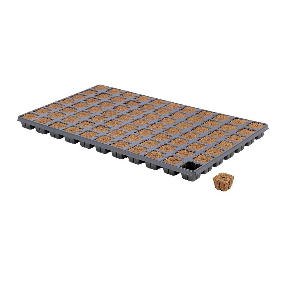 Eazy Plug - Tray of 77  Start-up cube