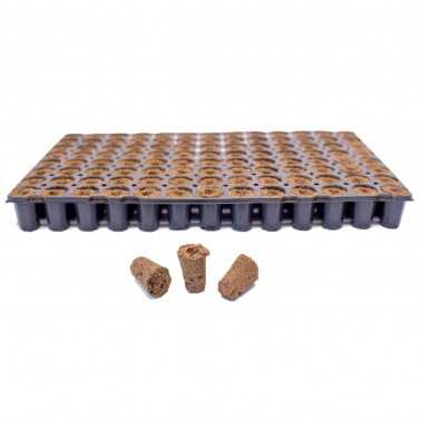 Eazy Plug Tablett von 104 Eazy Plug Starterwürfel