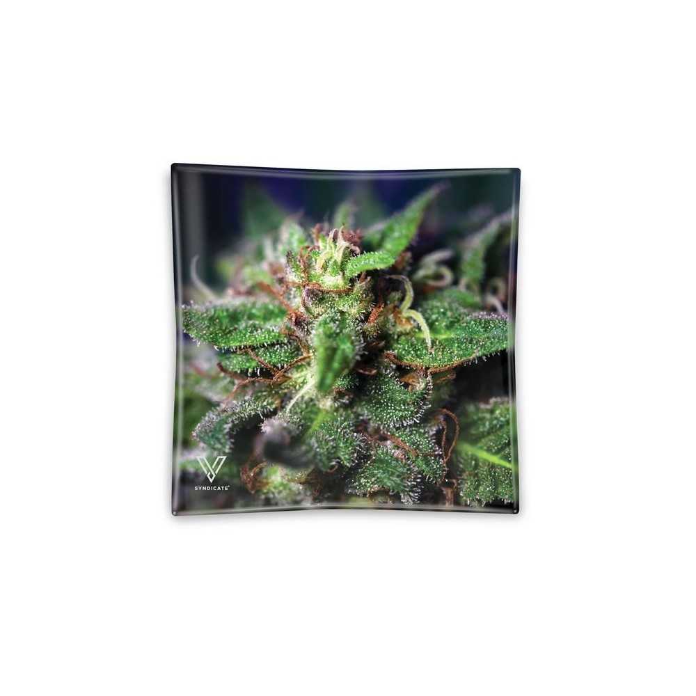 Blue Dream" V-Syndicate ashtray V Syndicate  Ashtray