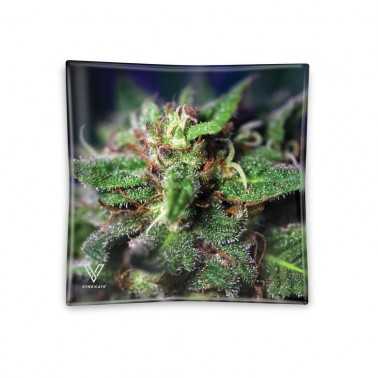 Cendrier V-Syndicate "Blue Dream" V Syndicate  Cendrier