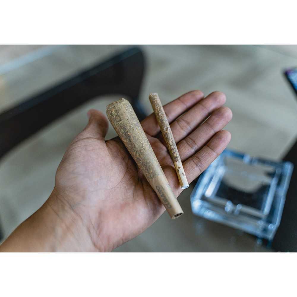 Pre-rolled cone Vibes Cubano Ultra Fines Vibes Smoking accessories