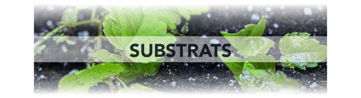 I substrati
