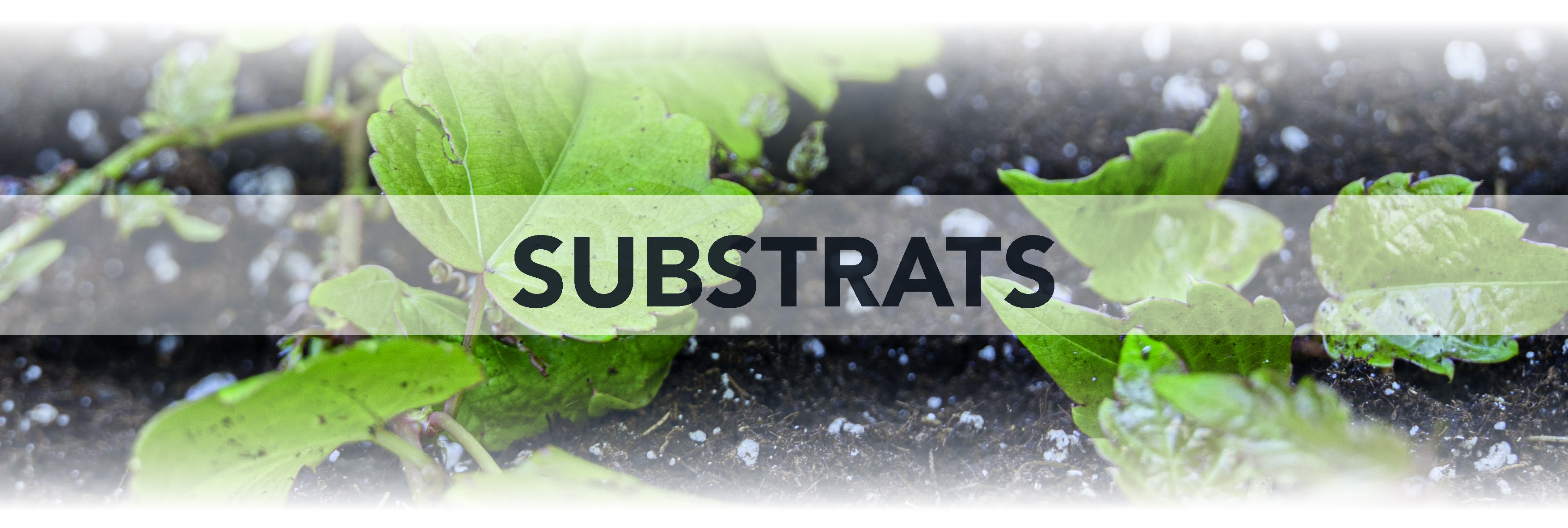 Substrats