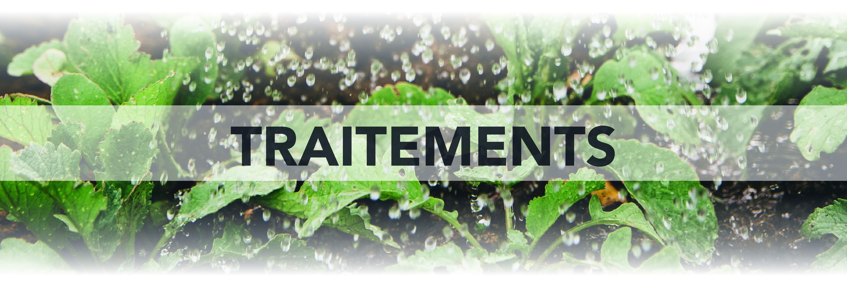 Trattamenti