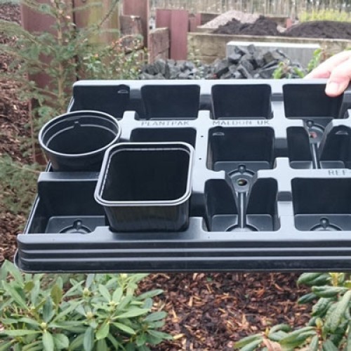 Trays et pots