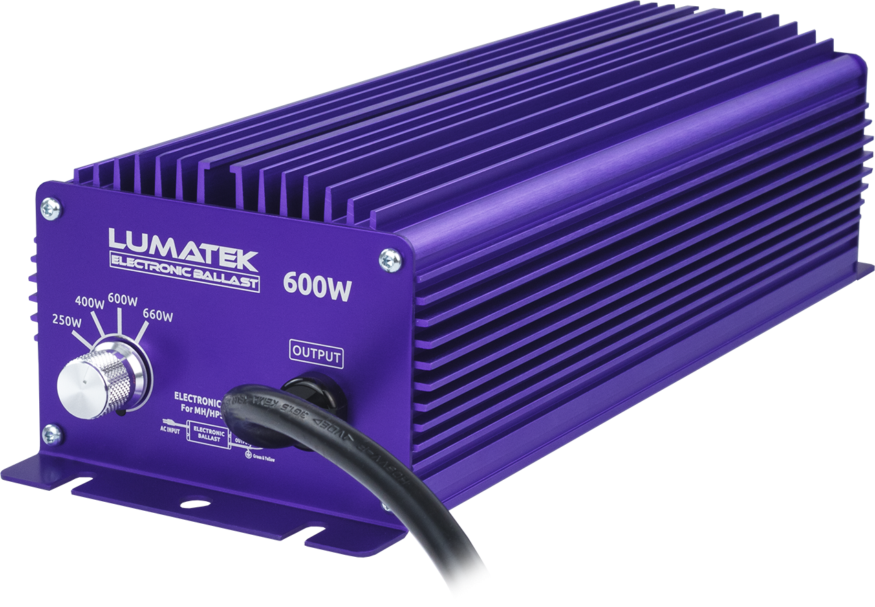 Alimentatore elettronico