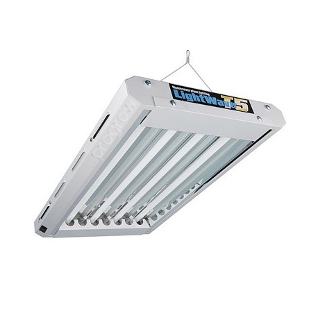 Lampada completa Neon