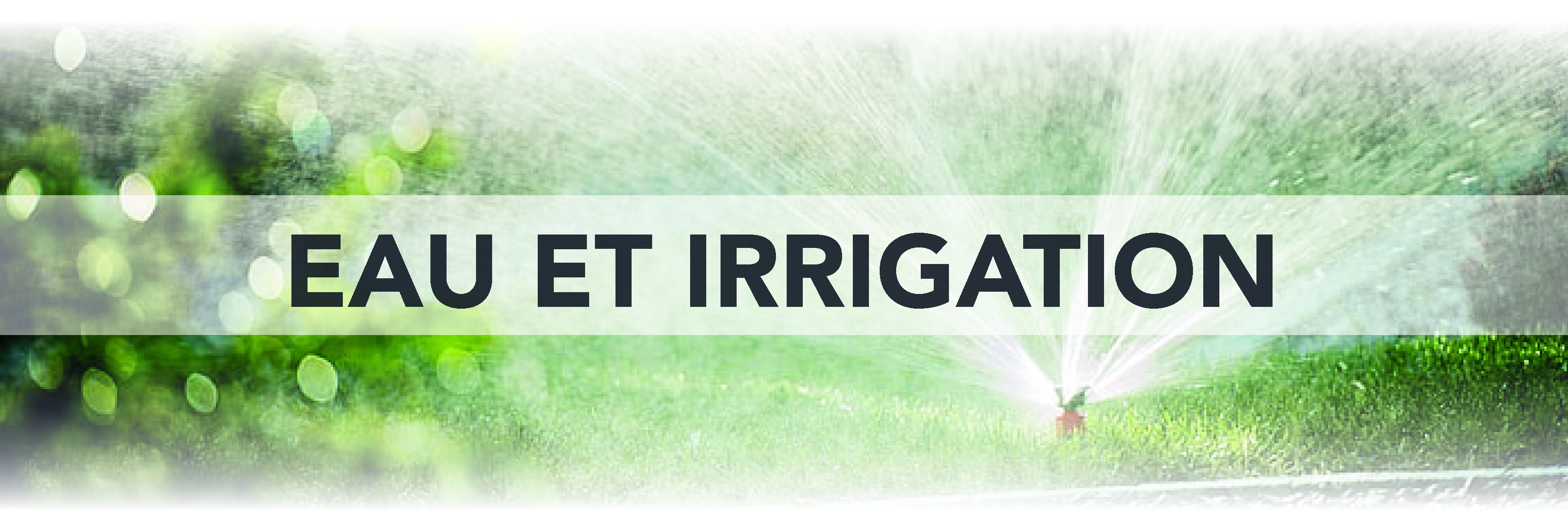 Acqua e irrigazione