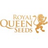 Royal Queen Seeds