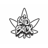 Laid Back