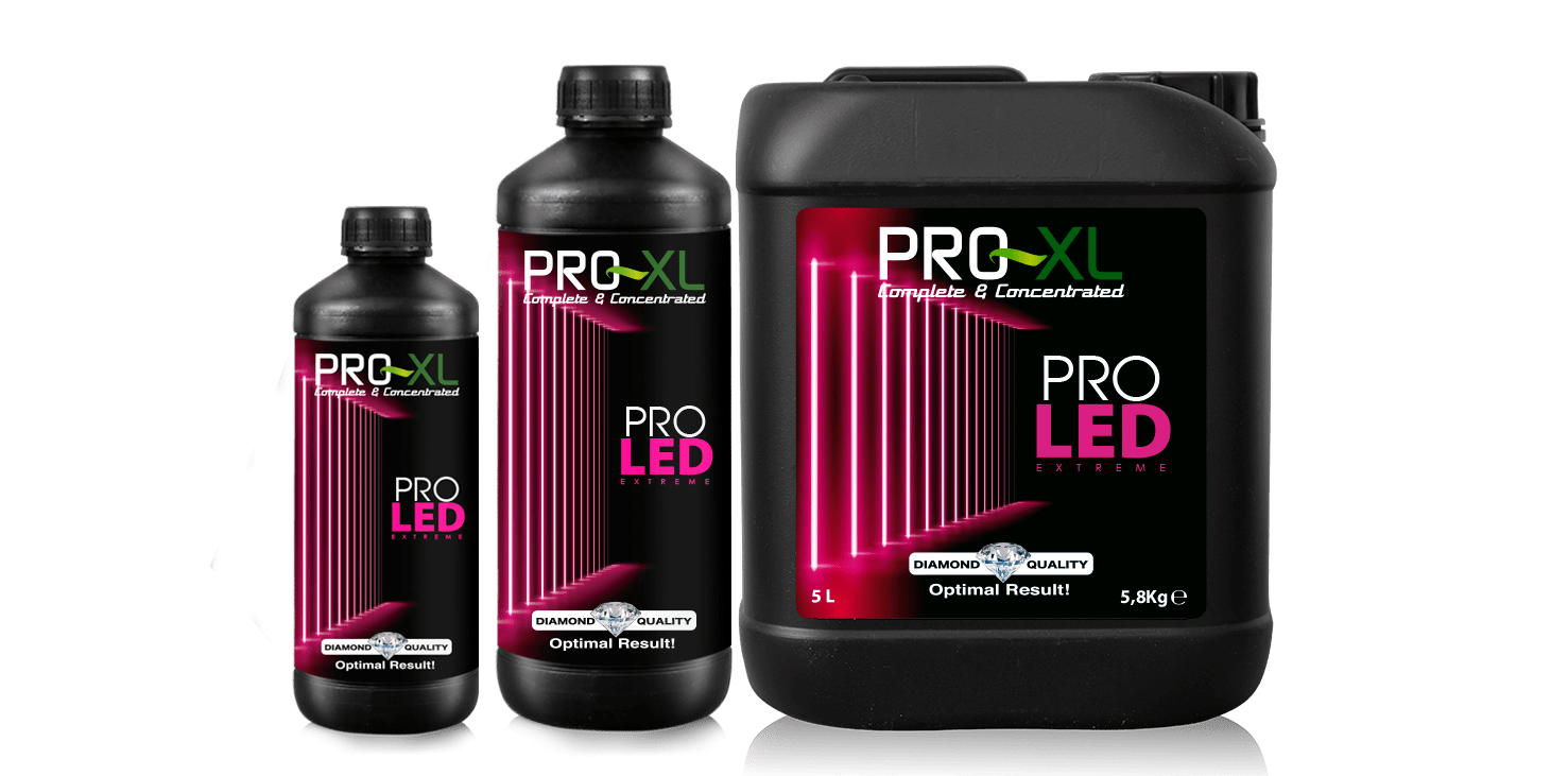 Pro XL Pro Led Extreme - Products
